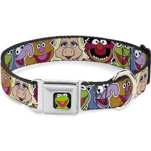 Buckle-Down Muppets Kermit Polyester Dog Collar, Small: 9 to 15-in neck, 1-in wide