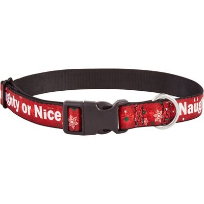 Buckle-Down Buckle-Down Naughty Or Nice Dog Collar, Large