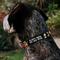 Show in main carousel: Buckle-Down Nick 90's Polyester Personalized Dog Collar, Medium slide 3 of 7