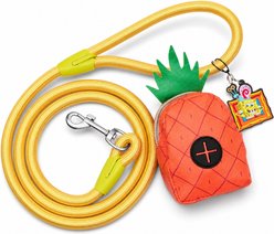 Buckle-Down Nickelodeon Embellishment Dog Leash with Waste Bag Dispenser, Yellow, 4.5-ft long, 2.5-in wide