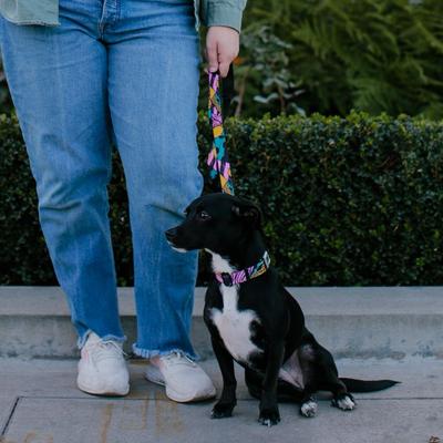 Show full view: Buckle-Down Nightmare Before Christmas Sally Dog Leash slide 4 of 6