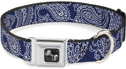 Buckle-Down Paisley Dog Collar, Wide-Large