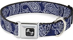 Buckle-Down Paisley Dog Collar, Wide-Small