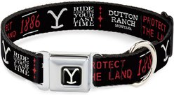 Buckle-Down Paramount Network Yellowstone Dutton Ranch 1886 Icons Metal Seatbelt Buckle Polyester Dog Collar, Wide Medium: 16 to 23-in neck, 1.5-in wide