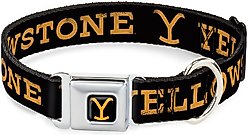 Buckle-Down Paramount Network Yellowstone Text & Y Logo Metal Seatbelt Buckle Polyester Dog Collar, Weathered Black/Orange, Wide Large: 20 to 31-in neck, 1.5-in wide