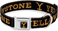Buckle-Down Paramount Network Yellowstone Text & Y Logo Metal Seatbelt Buckle Polyester Dog Collar, Weathered Black/Orange, Wide Small: 13 to 17-in neck, 1.5-in wide