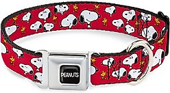 Buckle-Down Peanuts Snoopy & Woodstock Poses Scattered Metal Seatbelt Buckle Polyster Dog Collar, Red, Medium: 11 to 16.5-in neck, 1-in wide