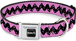 Buckle-Down Peanuts Worldwide LLC Peanuts Charlie Brown Metal Seatbelt Buckle Dog Collar, Pink/Black, Large: 15 to 24-in neck, 1-in wide