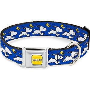 The Worthy Dog Mushrooms Dog Collar