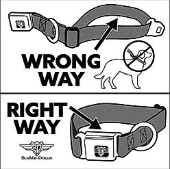 Buckle-Down Peanuts Worldwide LLC Snoopy Smiling Metal Seatbelt Buckle Dog Collar, Yellow/Black/White, Large: 15 to 24-in neck, 1-in wide slide 2 of 6