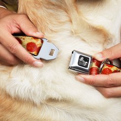 Buckle-Down Pepperoni Pizza Dog Collar, Wide-Medium slide 2 of 9