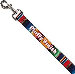 Buckle-Down Personalized Dog Leash, Zarape Vertical Stripe