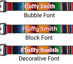 Buckle-Down Personalized Dog Leash, Zarape Vertical Stripe slide 2 of 2