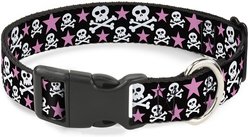 Buckle-Down Plastic Buckle Skulls Stars Print Polyester Dog Collar, Black/White/Pink, Small: 9.5 to 13-in neck, 1-in wide