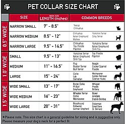 Buckle-Down Plastic Buckle Skulls Stars Print Polyester Dog Collar, Black/White/Pink, Small: 9.5 to 13-in neck, 1-in wide slide 2 of 3