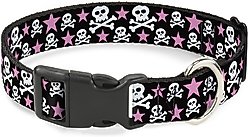 Buckle-Down Plastic Buckle Skulls Stars Print Polyester Dog Collar, Black/White/Pink, Wide Medium: 16 to 23-in neck, 1.5-in wide