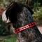 Show in main carousel: Buckle-Down Polyester Personalized Dog Collar, Buffalo Plaid, Small slide 4 of 9