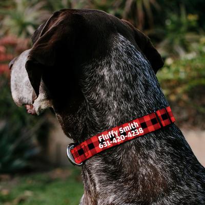 Show full view: Buckle-Down Polyester Personalized Dog Collar, Buffalo Plaid, Small slide 4 of 9