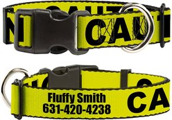 Buckle-Down Polyester Personalized Dog Collar, Caution, Large