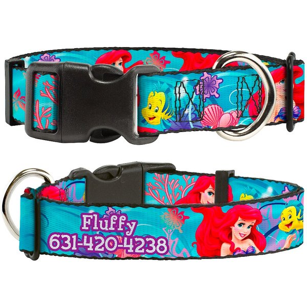 Buckle-Down Disney Ariel & Flounder Personalized Dog Leash