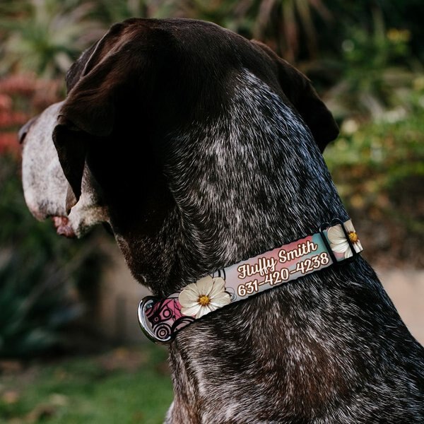 Buckle-Down Polyester Personalized Dog Collar, Flowers