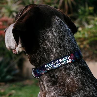 Show full view: Buckle-Down Polyester Personalized Dog Collar, Galaxy Collage, Large slide 3 of 8