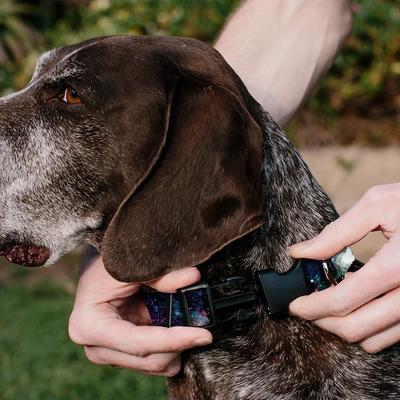 Show full view: Buckle-Down Polyester Personalized Dog Collar, Galaxy Collage, Large slide 4 of 8