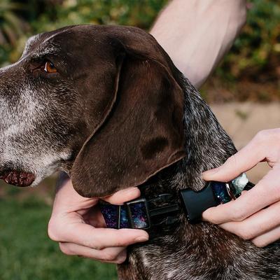 Show full view: Buckle-Down Polyester Personalized Dog Collar, Galaxy Collage, Small slide 4 of 8