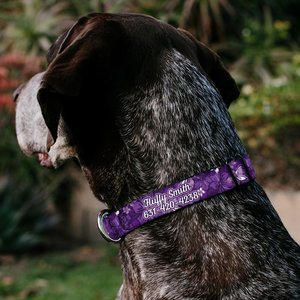 Buckle-Down Polyester Personalized Dog Collar, Hibiscus Collage, Medium