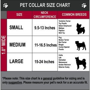 Buckle-Down Polyester Personalized Dog Collar, Hibiscus Collage, Medium