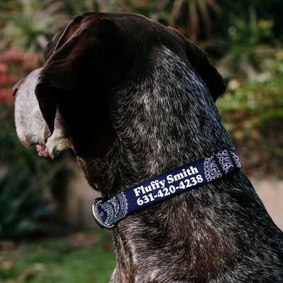 Show full view: Buckle-Down Polyester Personalized Dog Collar, Paisley Blue & White, Large slide 3 of 8