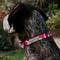 Show in main carousel: Buckle-Down Polyester Personalized Dog Collar, Pink Camo, Large slide 3 of 8