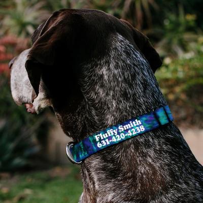Show full view: Buckle-Down Polyester Personalized Dog Collar, Tie Dye, Small slide 4 of 9