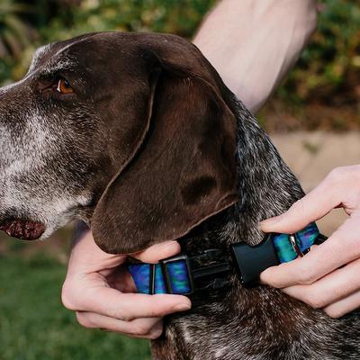 Show full view: Buckle-Down Polyester Personalized Dog Collar, Tie Dye, Small slide 5 of 9