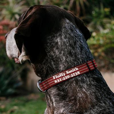 Show full view: Buckle-Down Polyester Personalized Dog Collar, Vintage US Flag, Small slide 3 of 8