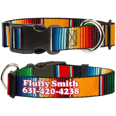 Buckle-Down Buckle-Down Polyester Personalized Dog Collar, Zarape, Small