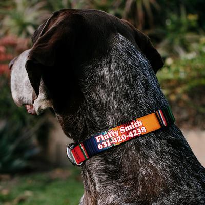 Show full view: Buckle-Down Polyester Personalized Dog Collar, Zarape, Small slide 3 of 8