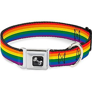 Buckle-Down Pride Dog Collar, Medium