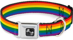 Buckle-Down Pride Dog Collar, Wide-Large
