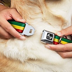 Buckle-Down Rasta Dog Collar, Large slide 2 of 9