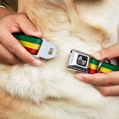 Show full view: Buckle-Down Rasta Dog Collar, Small slide 2 of 9