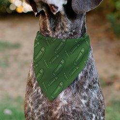 Buckle-Down Rick & Morty Pickle Rick Pose Dog Bandana slide 2 of 7