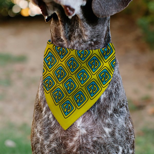 Buckle-Down Bandana Skulls Dog Collar