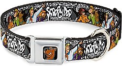 Buckle-Down Scooby Doo Dog Collar, Large