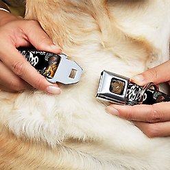 Buckle-Down Scooby Doo Dog Collar, Wide-Large slide 2 of 9