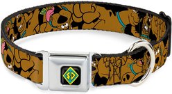 Buckle-Down Scooby Doo Polyester Dog Collar, Large: 15 to 26-in neck, 1-in wide
