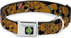 Buckle-Down Scooby Doo Polyester Dog Collar, Medium Wide: 16 to 23-in neck, 1.5-in wide