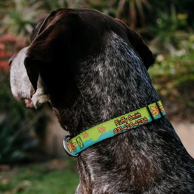Show full view: Buckle-Down Scooby Doo The Mystery Machine Paint Job Personalized Dog Collar, Large slide 3 of 8
