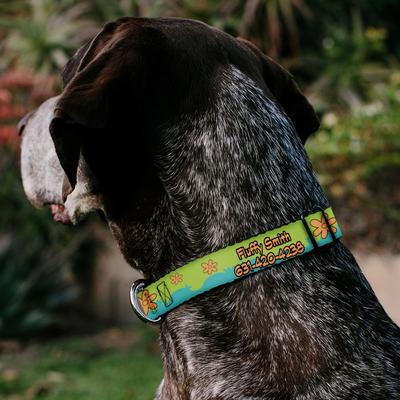 Show full view: Buckle-Down Scooby Doo The Mystery Machine Paint Job Personalized Dog Collar, Medium slide 4 of 9