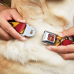 Buckle-Down Seatbelt Buckle Gryffindor Crest Diagonal Stripe Dog Collar, Gold & Red, 13-17-in slide 2 of 8